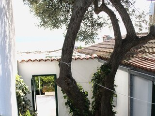 Apartment Zivogosce  10