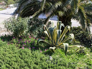 Apartment Zivogosce  9