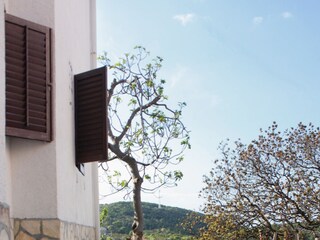 Apartment Vrbnik  5