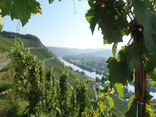 Apartamento Laubach (Eifel) Entorno 20