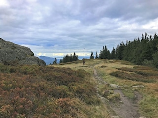 Vakantiehuis Lam Omgeving 32