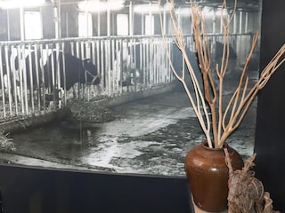 Apartment Menaldum  27