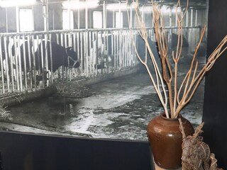 Appartement Menaldum  27