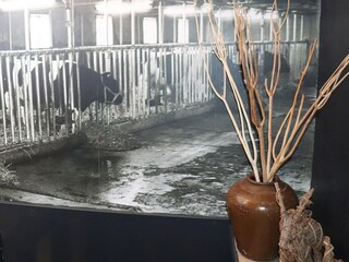 Appartement Menaldum  28