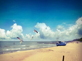 Maison de vacances Ustronie Morskie Environnement 10