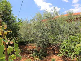 Ferienzimmer Trogir  11