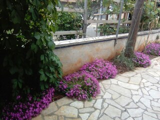 Apartment Privlaka  4