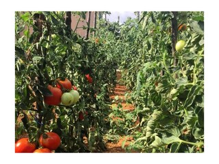 Ferienhaus Dugopolje  10