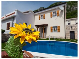 Holiday house Tribalj  5