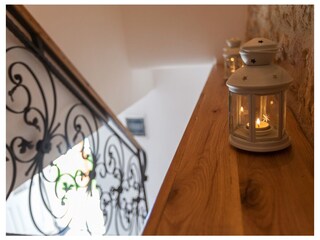 Holiday house Tribalj  36