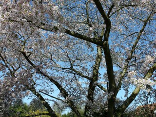 Casa per le vacanze Varengeville-sur-Mer  57