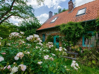 Ferienhaus Varengeville-sur-Mer Außenaufnahme 10