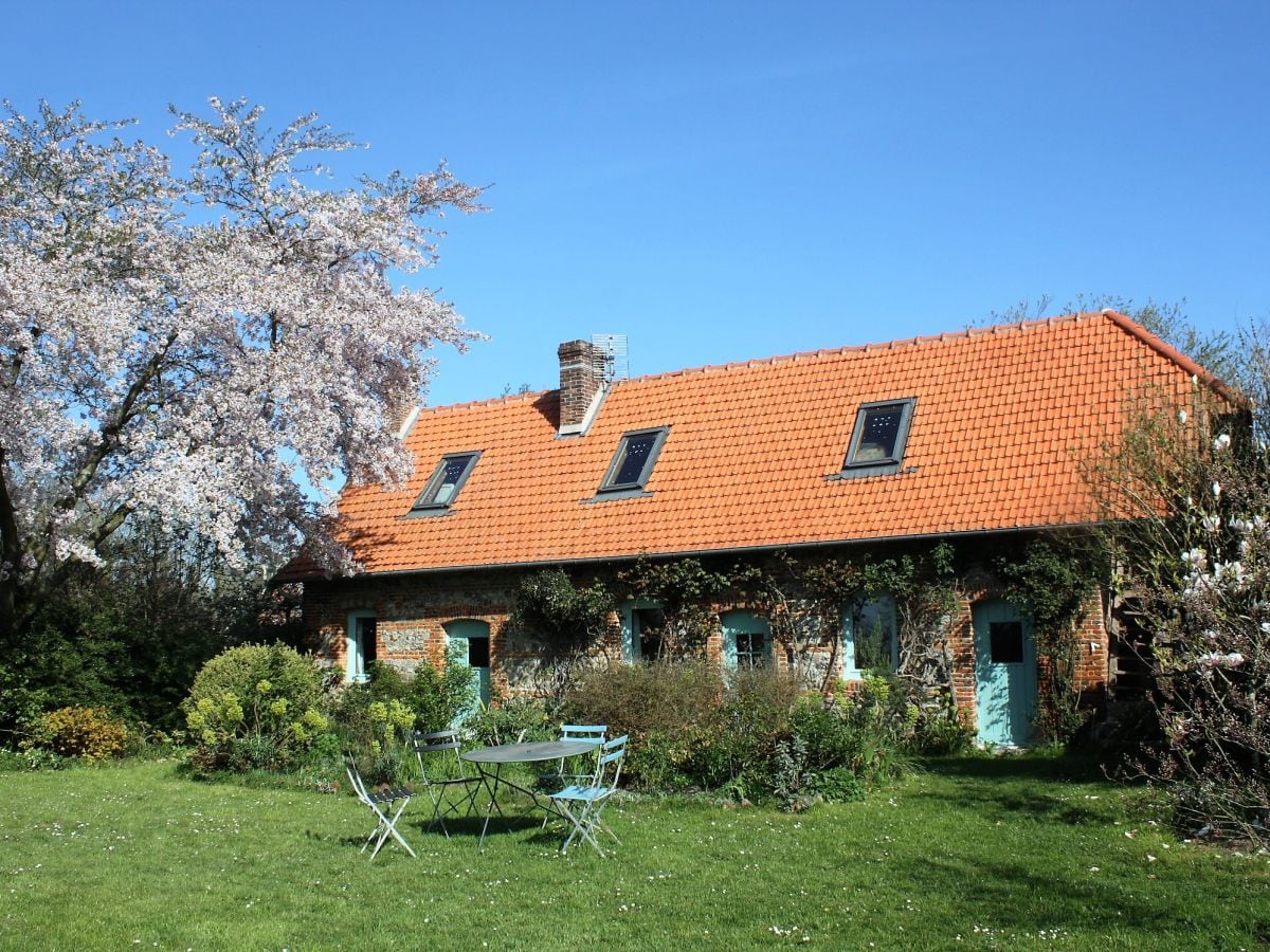 The house with garden