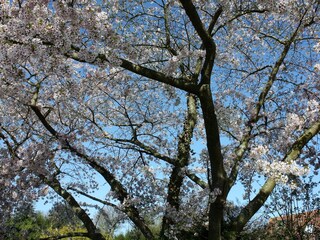 Casa per le vacanze Varengeville-sur-Mer Registrazione all'aperto 7