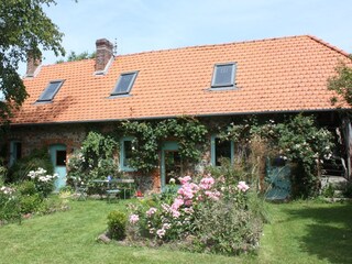 The house with garden