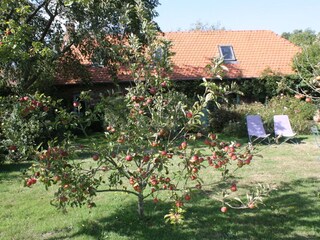 Casa per le vacanze Varengeville-sur-Mer Registrazione all'aperto 4