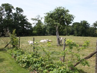 Casa per le vacanze Varengeville-sur-Mer Registrazione all'aperto 8