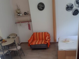 Apartment Kozino  5