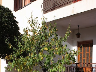 Apartment Biograd  9