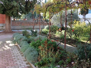 Apartment Biograd  10