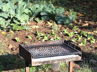 Apartment Biograd  11