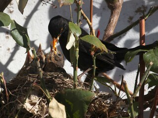 Appartamento per vacanze Weilmünster Registrazione all'aperto 10