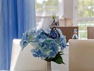 Ferienhaus Prigradica  31