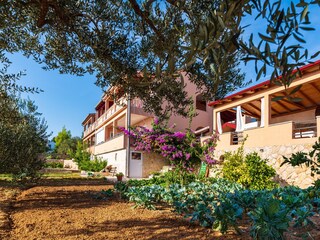 Apartment Maslenica  7