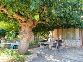 Apartment Lovrecica  6