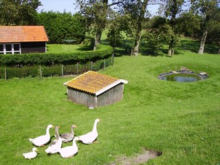 Vakantieappartement Vrouwenpolder Omgeving 4