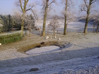 Vakantieappartement Vrouwenpolder Omgeving 6