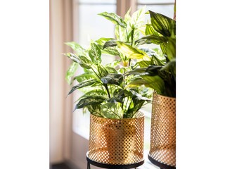 Villa Nes Caratteristiche 11