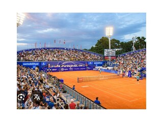 Casa per le vacanze Buje Caratteristiche 40