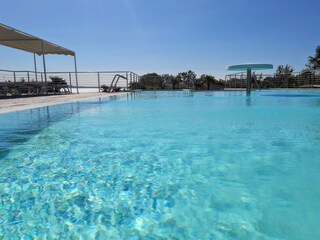 The pool
