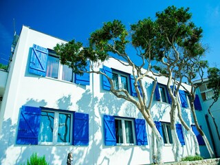 Holiday room Drasnice  5