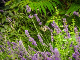 Apartment Dramalj  18