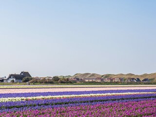 Appartamento per vacanze Callantsoog Ambiente 25