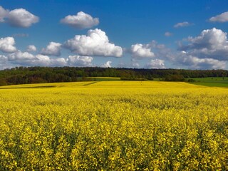 Appartamento per vacanze Weilmünster Ambiente 26