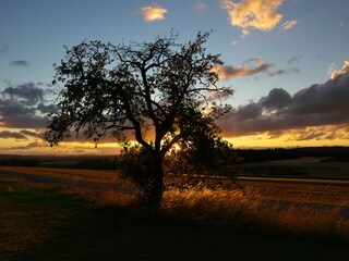 Appartamento per vacanze Weilmünster Ambiente 24