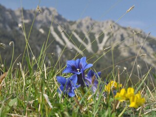Naturschutzgebiet Allgäuer Hochalpen