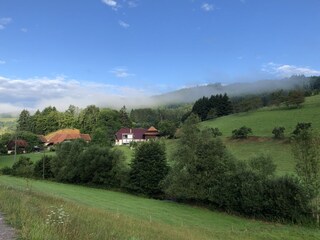 Holiday apartment Welschensteinach  16
