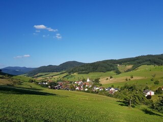 Holiday apartment Welschensteinach  14