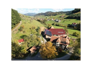 Holiday apartment Welschensteinach  20