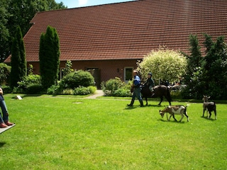 Große Spielwiese/Terrassenseite