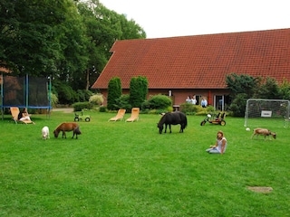 Terrassenseite der Fewo mit Spielwiese