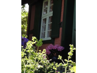 Gartenseite in der Abendsonne