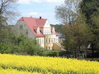 Gut Grubnow während der Rapsblüte