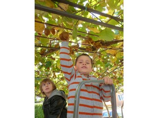 Holiday apartment Porec Environment 29