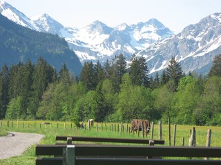 Richtung Oberstdorf Mai