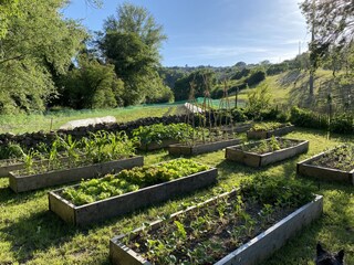 Unser kleiner Gemüsegarten - auch für Sie.